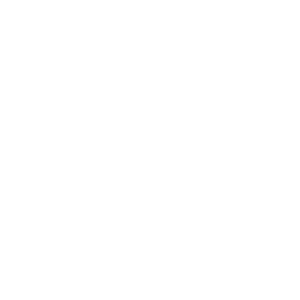 Light Bulb Icon