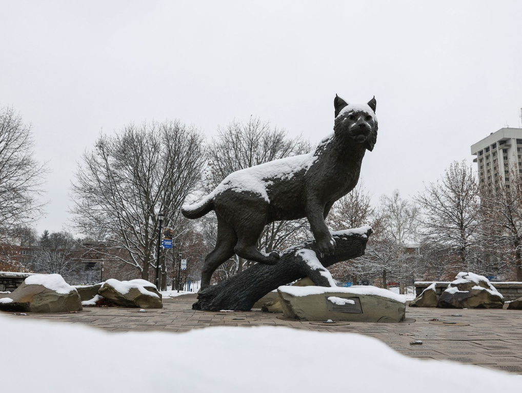 Cat statue in snow