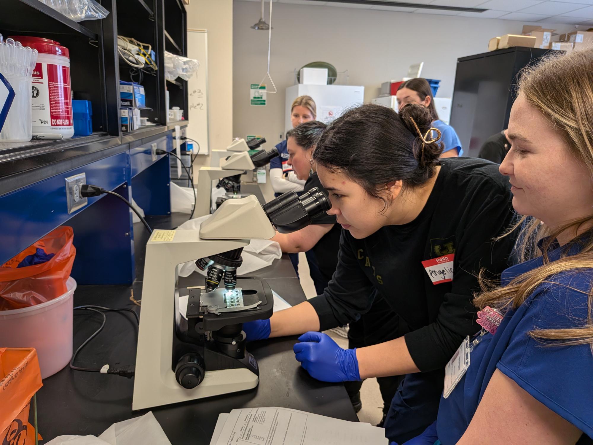 MLS and PA students in the lab together