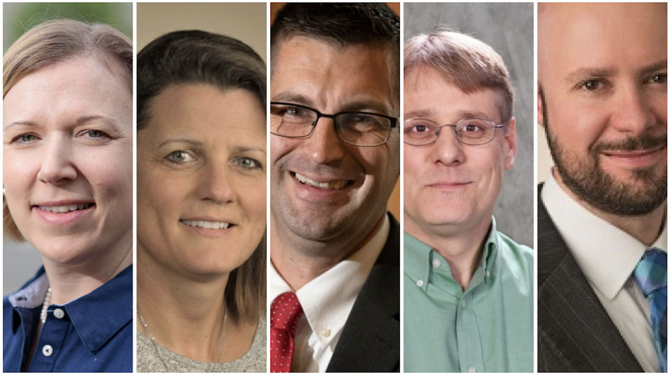 CHS Endowed Professorships