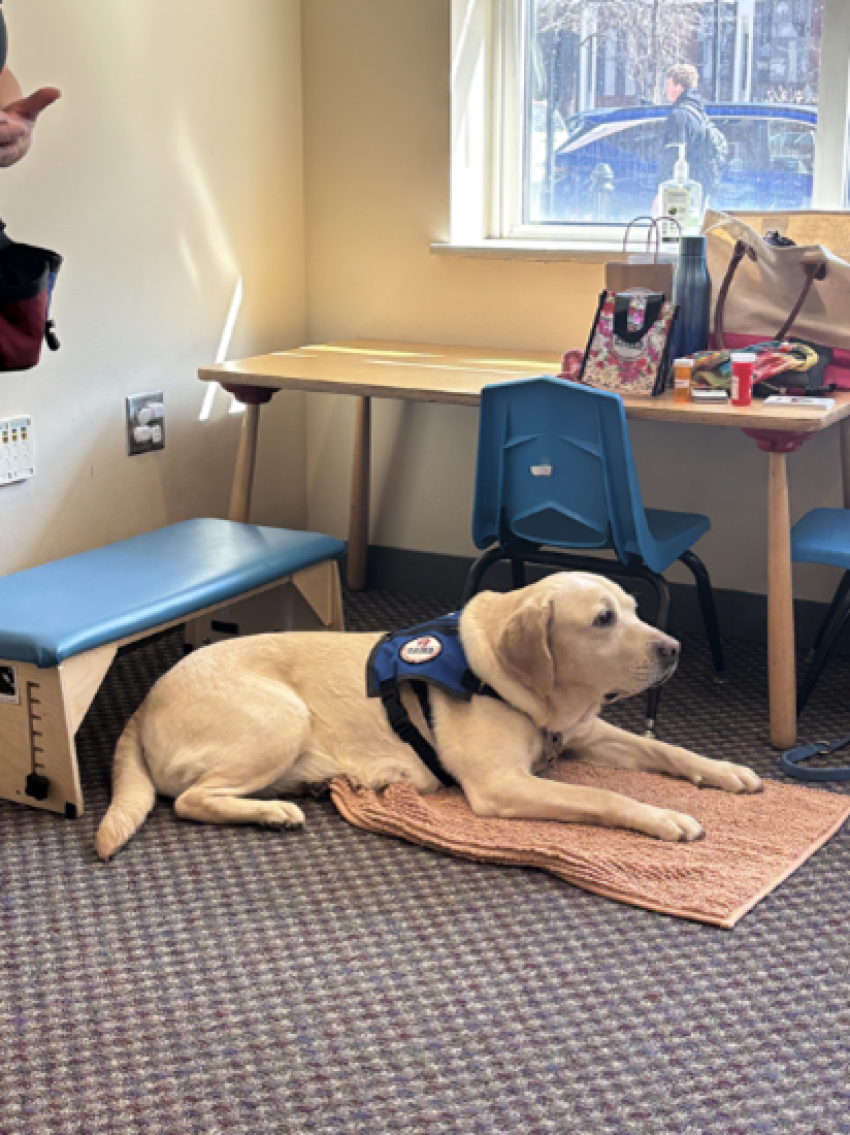 Basil the Service Dog