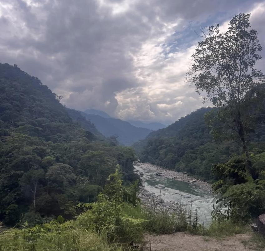 Pic of Ecuador