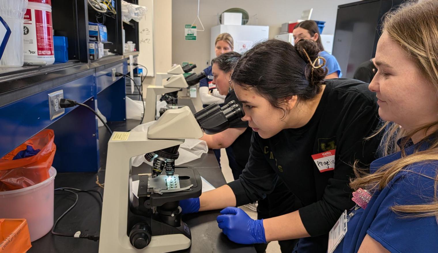 MLS and PA students in the lab