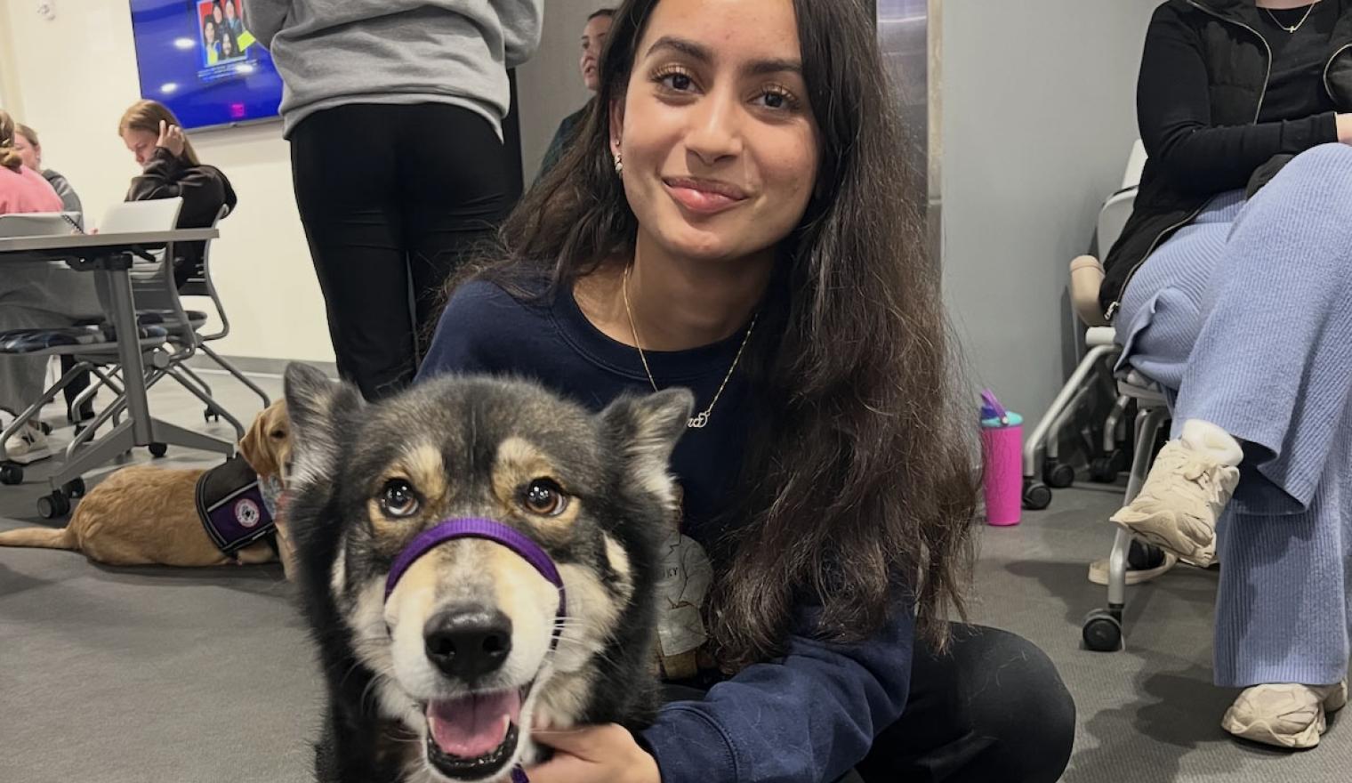 Puppies and professionals