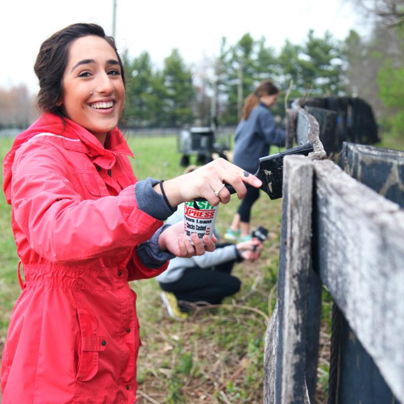 Painting Fence at Greenhouse17