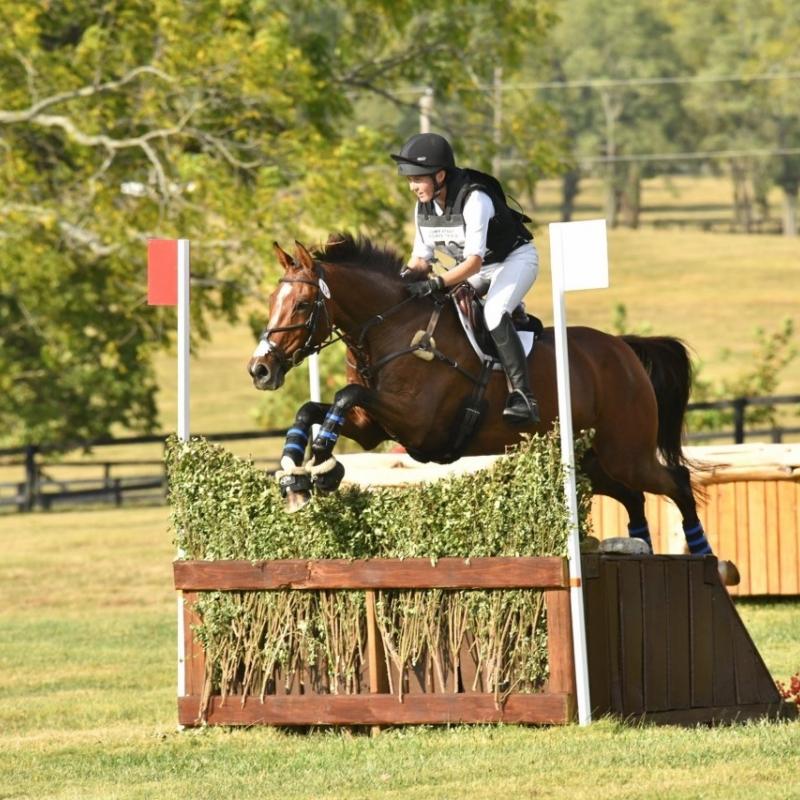 Equestrian