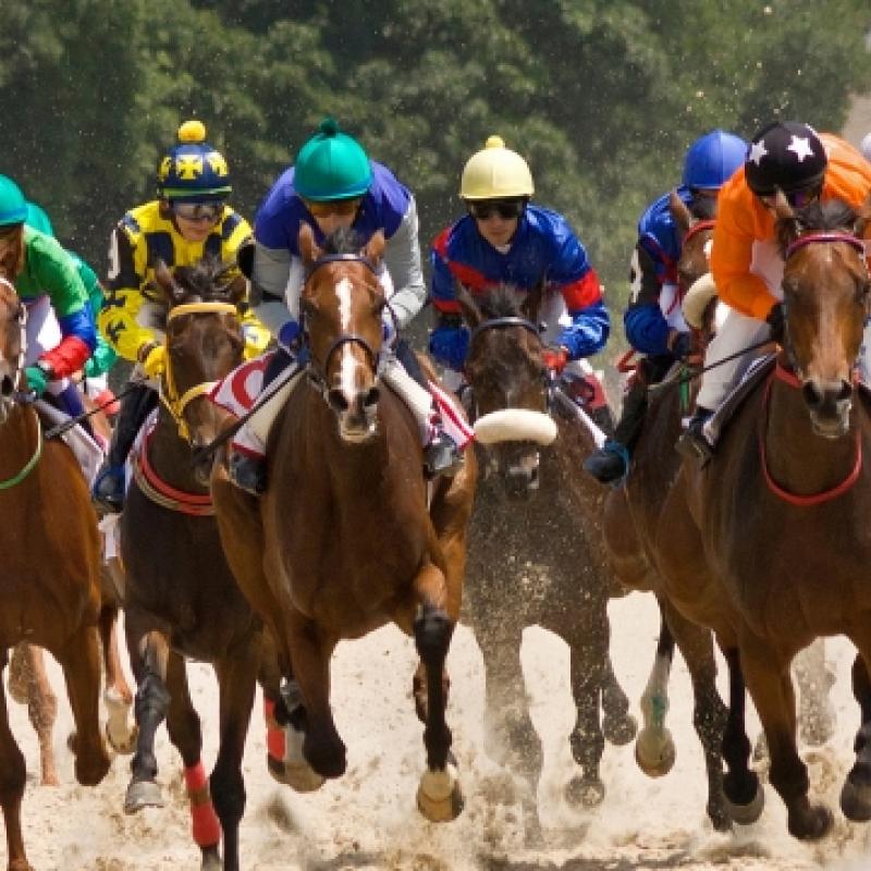 Horses Racing
