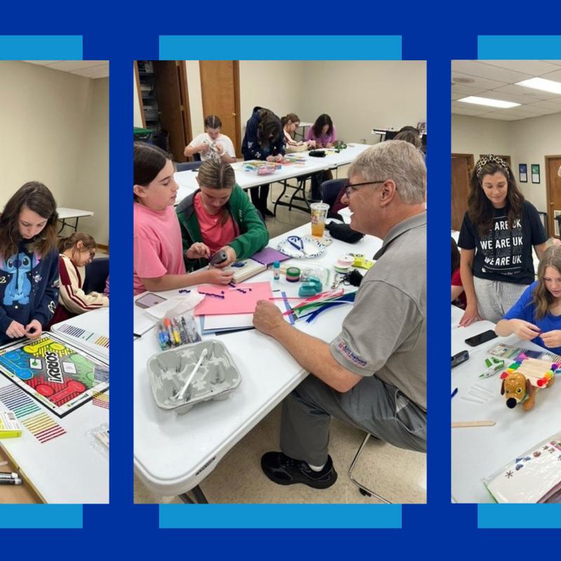 4-h story collage