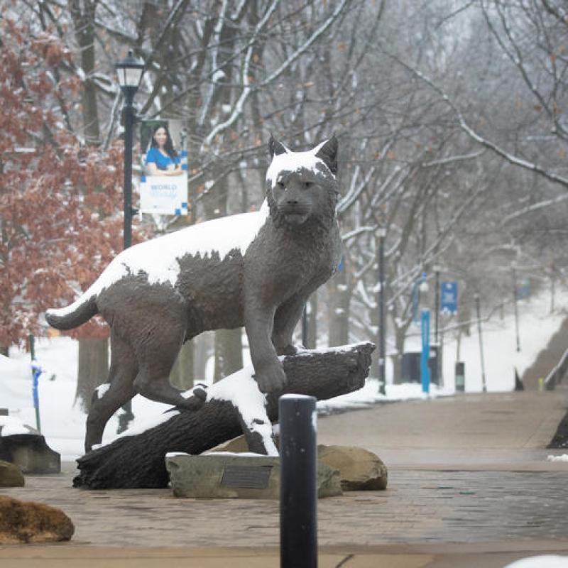 Snow at UK