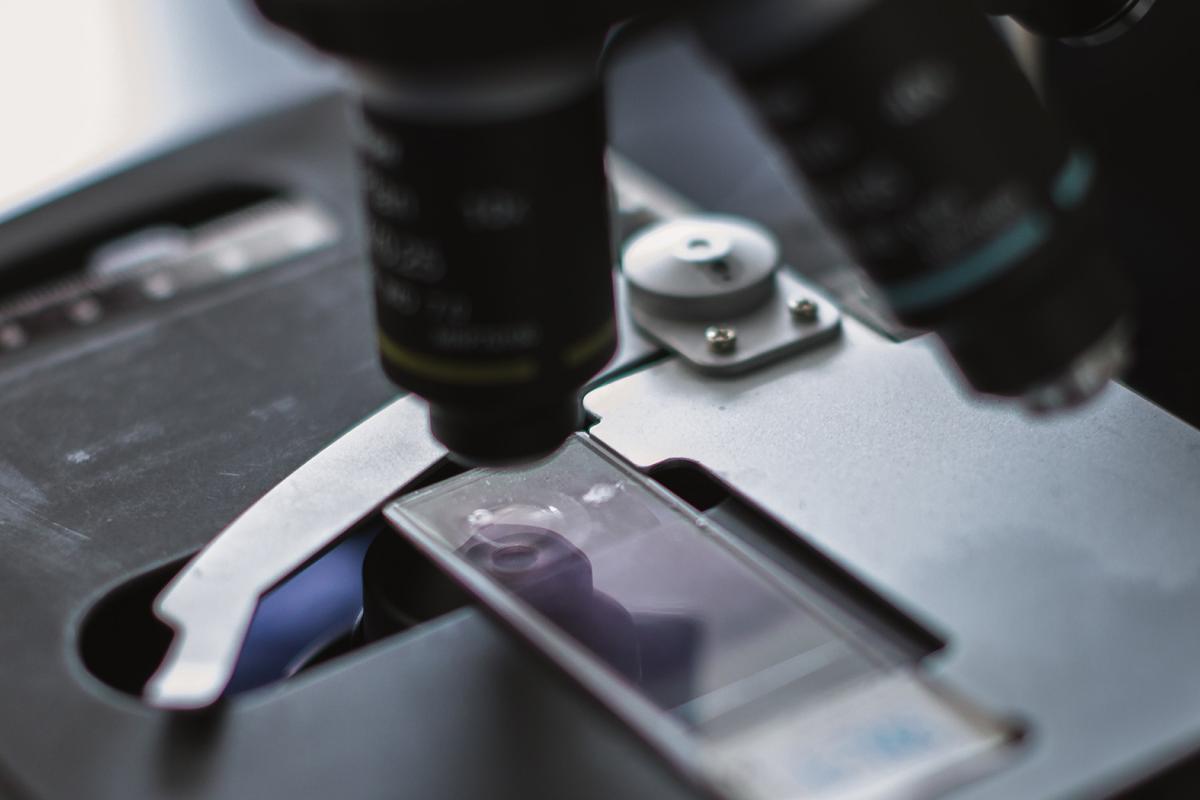 Microscope