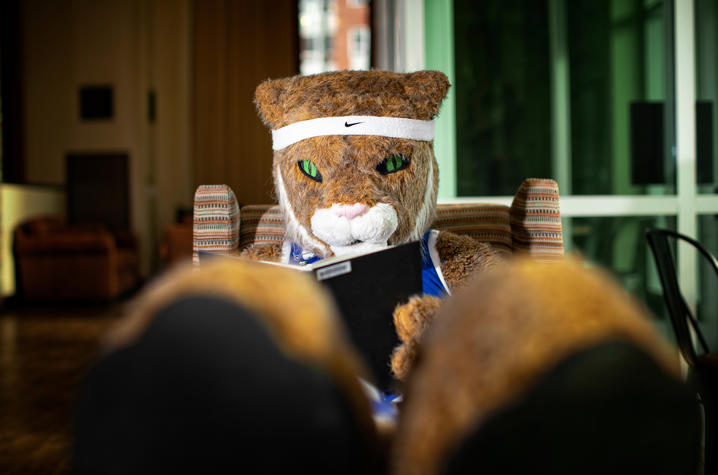 Wildcat mascot reading