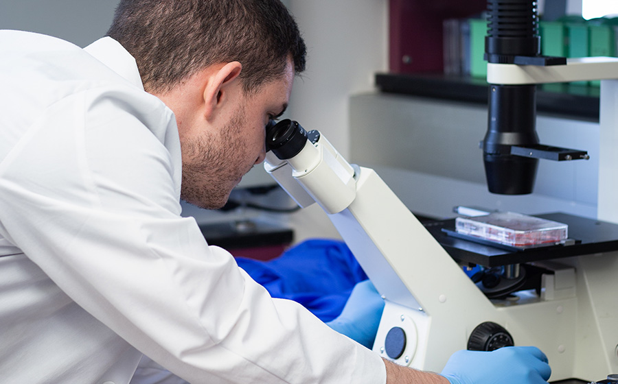 Researcher using Microscope