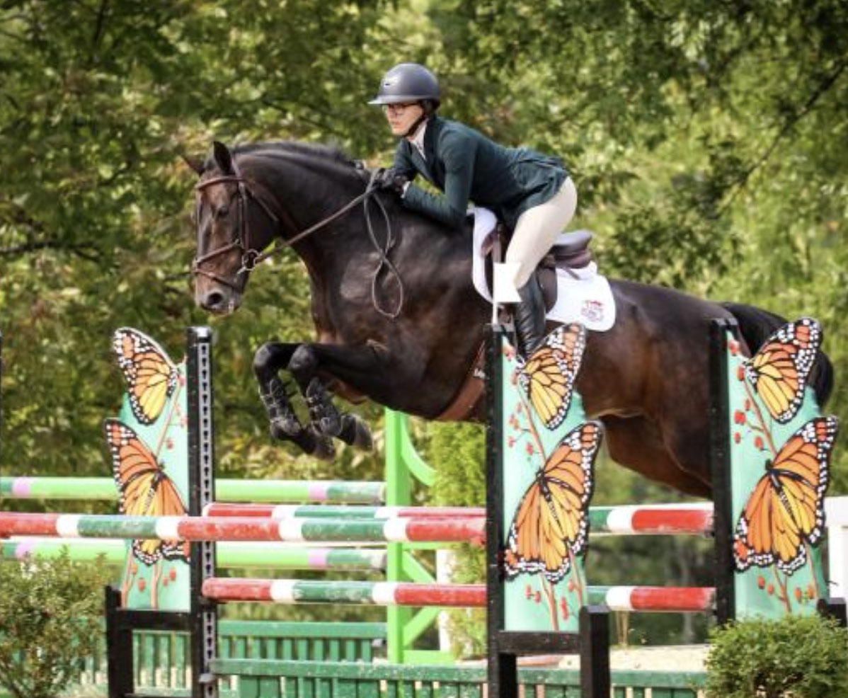 Jockey riding horse