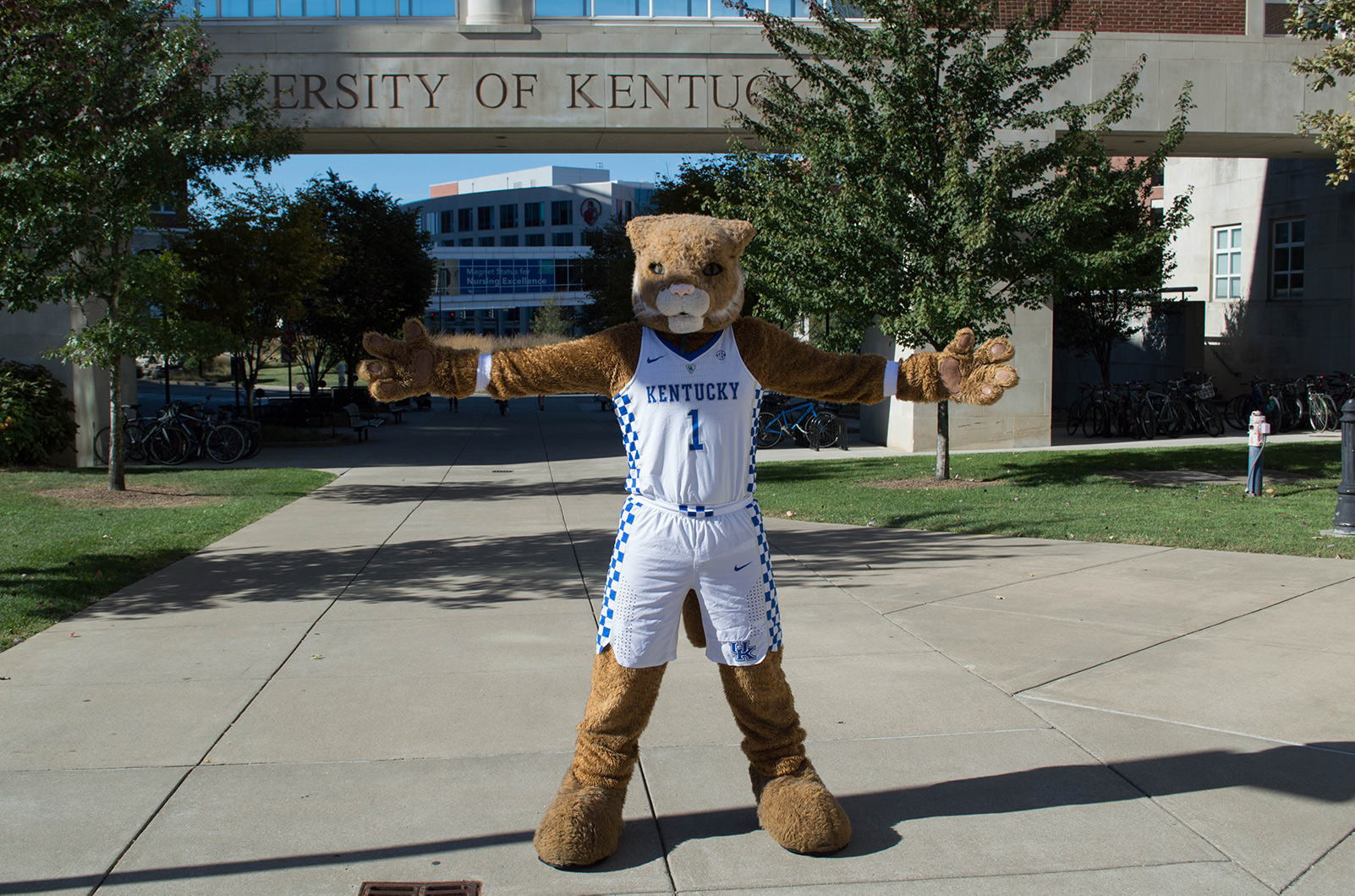 Wildcat Mascot at Wethington Building